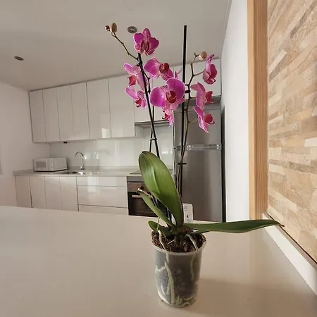 Acogedora Casa Con Vistas Panoramicas De * Vigo